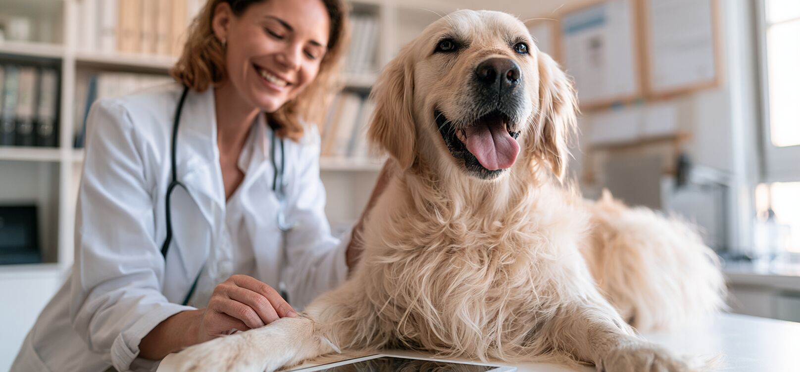 Veterinarian smiling beside a golden retriever in a clinic